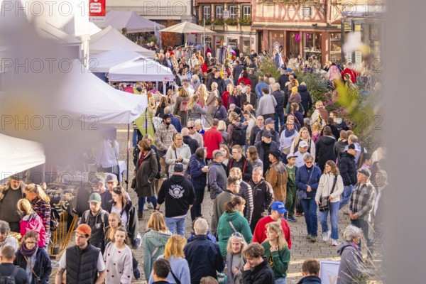 Large crowd at a market in a sunny old town, Urschelherbst street festival, Nagold, Germany
