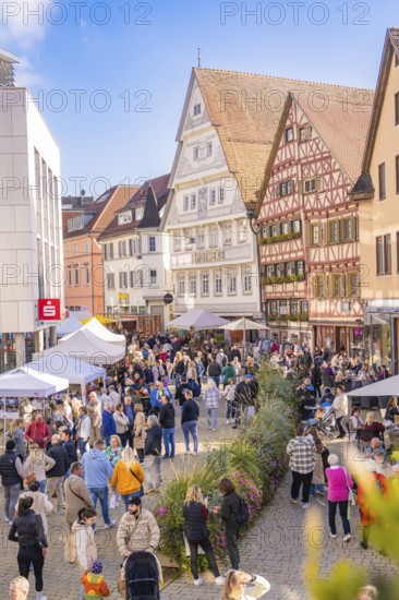 Packed marketplace in an old town with heritage-protected houses and numerous visitors, Urschelherbst street festival, Nagold, Germany
