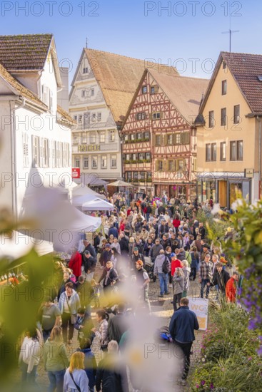 Large crowd at a market in the old town, surrounded by sunny half-timbered houses, Urschelherbst street festival, Nagold, Germany