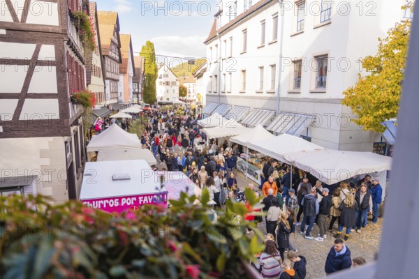 Lively market scene with tent stands and lots of people in a festive atmosphere, Urschelherbst street festival, Nagold, Germany