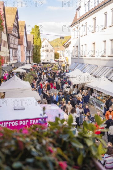 Bird's eye view of a lively market scene with lots of people and white tents, Urschelherbst street festival, Nagold, Germany