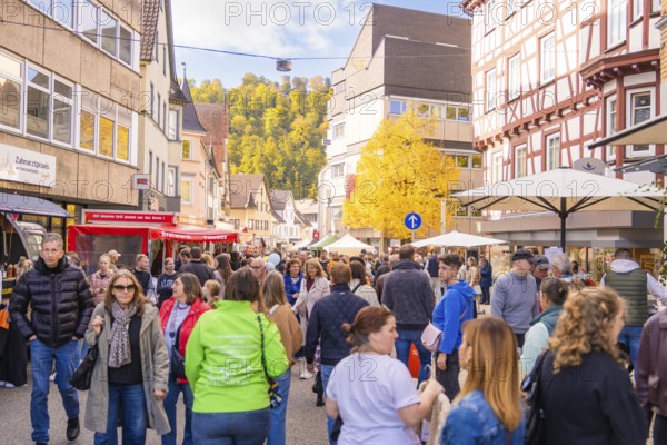 People stroll across a busy street with market stalls and half-timbered houses in the background, Urschelherbst street festival, Nagold, Germany