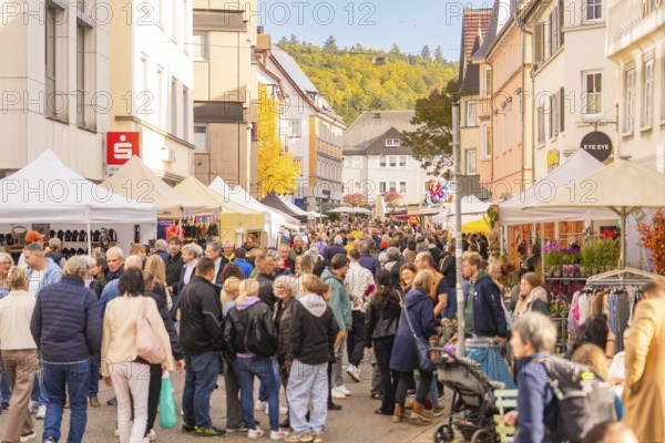 A lively shopping street with market stalls and an autumnal atmosphere, Urschelherbst Street Festival, Nagold, Germany