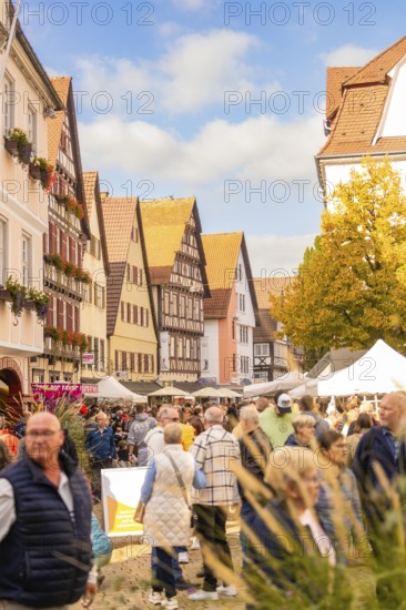 A large crowd enjoys a sunny market day in the old town, Urschelherbst street festival, Nagold, Germany