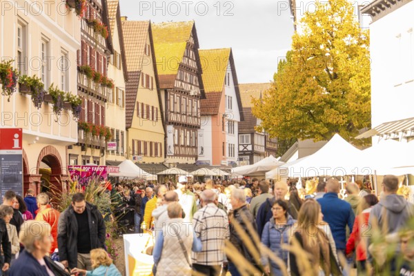 Market visitors stroll between historic buildings and stalls, Urschelherbst Street Festival, Nagold, Germany