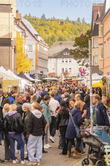 Crowded market street with lots of people and colorful autumn trees, Urschelherbst street festival, Nagold, Germany