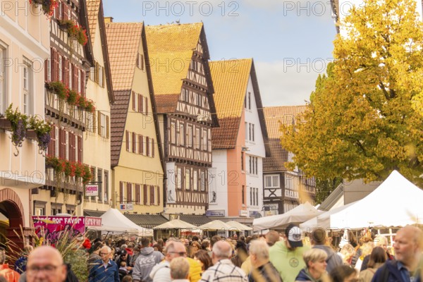 A lively autumn day at a market in front of half-timbered houses full of people, Urschelherbst street festival, Nagold, Germany