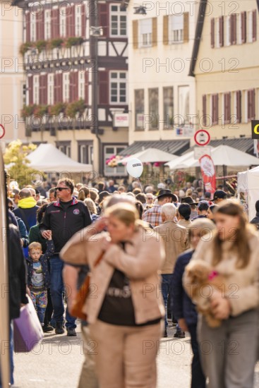 People stroll and shop at a busy market in the old town, Urschelherbst Street Festival, Nagold, Germany