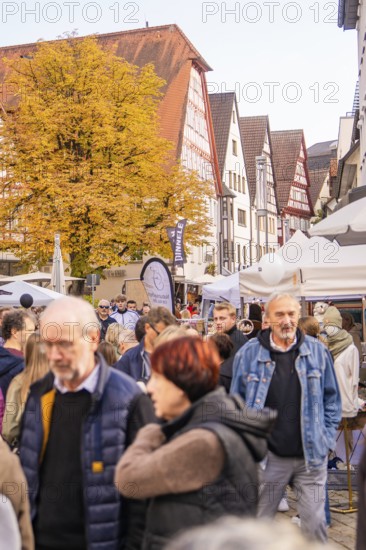 Street scene with people and traditional houses surrounded by autumn trees, Urschelherbst street festival, Nagold, Germany