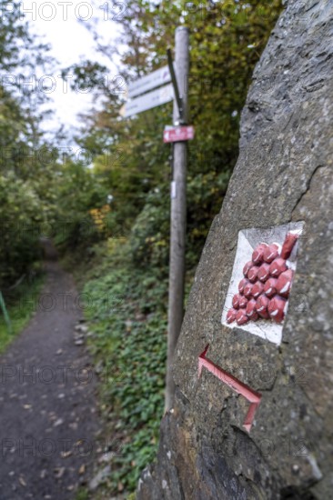 Guide to the red wine hiking trail in the Ahr Valley, logo, here near Altenahr, Rhineland-Palatinate