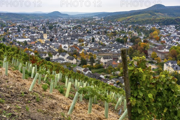 View of the old town of Ahrweiler, renovated, restored, partly rebuilt after the flood in the Ahr Valley in July 2021, vineyard, Rhineland-Palatinate