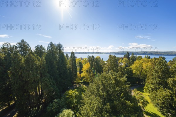 Extensive view over green forests to a distant lake under a clear sky, Überlingen, Lake Constance, Germany