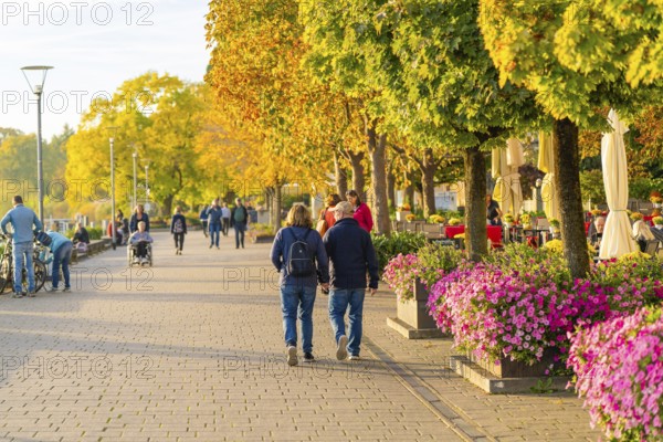 People walk along a blooming promenade in sunny autumn weather, Überlingen, Lake Constance, Germany