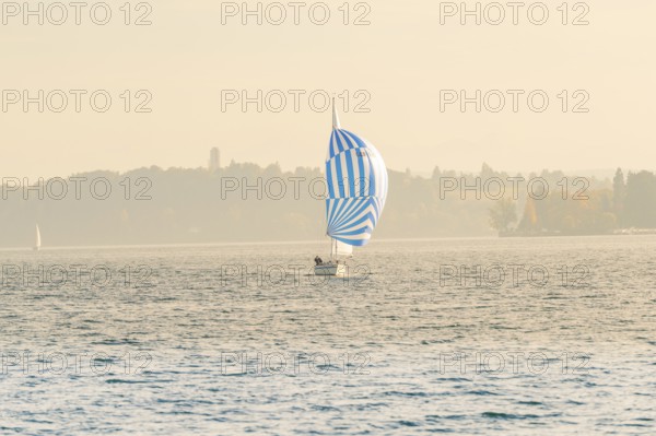 A sailboat with blue and white sail on a calm lake under a gentle sky, Überlingen, Lake Constance, Germany