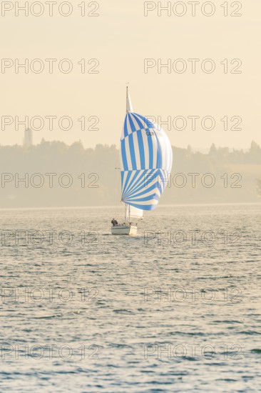Sailing boat with blue and white sails in a calm morning mood at sea, Überlingen, Lake Constance, Germany