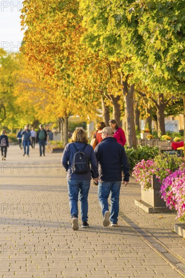 Two people walking in a tree-lined street in autumn, Überlingen, Lake Constance, Germany