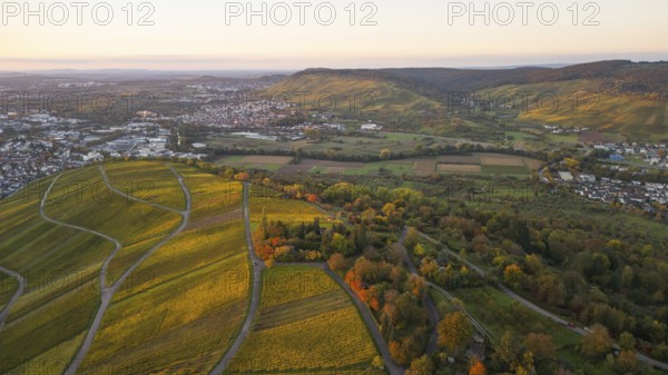 Golden autumn over the vineyards of Weinstadt Beutelsbach, Baden-Württemberg, Germany