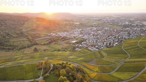 Sunset and golden autumn over the vineyards of Weinstadt Beutelsbach, Baden-Württemberg, Germany