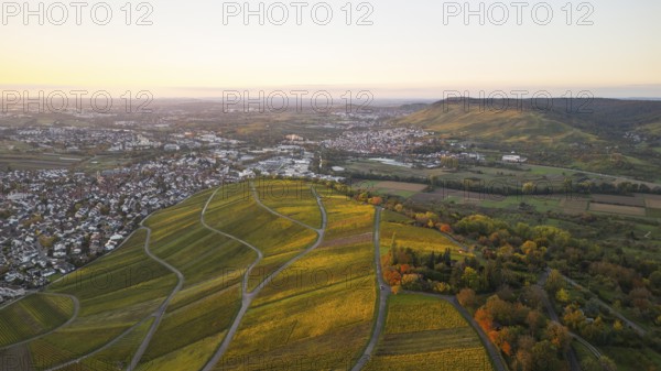 At sunset and golden autumn over the vineyards of Weinstadt Beutelsbach, Baden-Württemberg, Germany