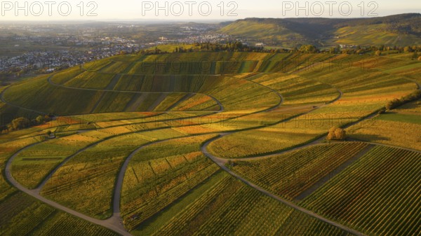 Golden autumn over the vineyards of Weinstadt Beutelsbach