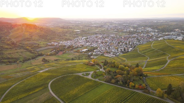 Sunset and golden autumn over the vineyards of Weinstadt Beutelsbach, Baden-Württemberg, Germany