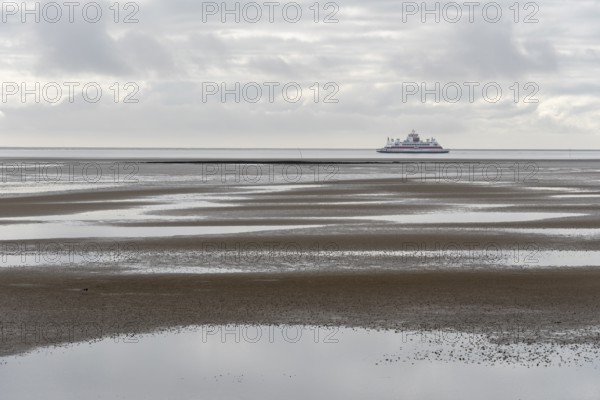 A ferry of the Wyker Dampfschiffs-Reederei (W.D.R.) sails at low tide in the Wadden Sea between Föhr and the mainland, Schleswig-Holstein, Germany