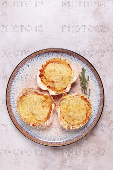 Scallop, baked in shells, with cheese and spices, on a plate, homemade