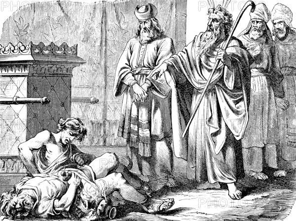 The Lord sent out fire and Nadab and Abihu died, sacrifice, death, dying, stranger, Moses, staff, priest, lying, men, pain, third book of Moses, chapter 11, Old Testament, Bible, historical illustration 1877