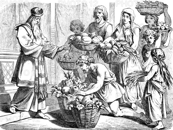 Put the fruits of the land in a basket, offering of the first fruits, land of milk and honey, proverb, priest, first fruits, full baskets, offerings, children, woman, men, apples, pumpkin, grain, fruit, crop, agriculture, harvest, tithe, Leviticus, chapter 26, Old Testament, Bible, historical illustration 1877