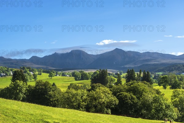 Expansive green fields and trees with mountains in the distance under a clear blue sky, Massif of Sancy in Auvergne Volcanoes Regional Park. Puy de Dome. Auvergne Rhone Alpes. France