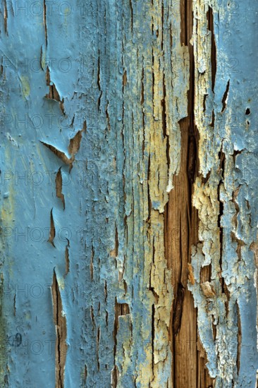 Faded blue wood shows signs of age with peeling paint, highlighting the textures and patterns associated with weathered materials. This scene captures a sense of history and rustic charm