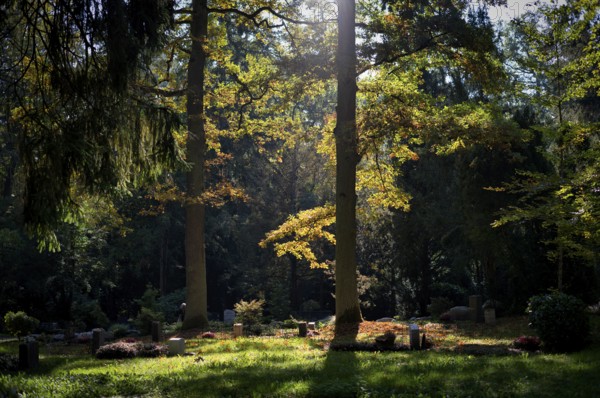 Gravesite, gravestone, graves, forest cemetery, autumn, autumnal, Stuttgart, Baden-Württemberg, Germany