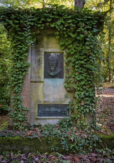 Gravesite, tomb, grave of the family Dr Bogumil Lange, orthopaedist, Elisabeth, forest cemetery, autumn, autumnal, ivy, Stuttgart, Baden-Württemberg, Germany