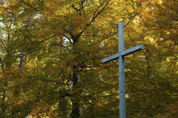 Commemoration of fallen in the First World War, cross, forest cemetery, autumn, autumnal, Stuttgart, Baden-Württemberg, Germany