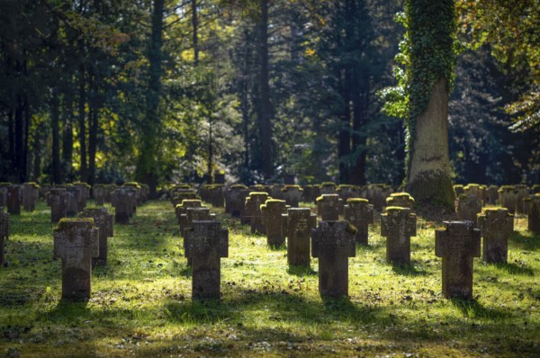 Remembrance of fallen soldiers in the First World War, war graves, graves, forest cemetery, autumn, autumnal, Stuttgart, Baden-Württemberg, Germany
