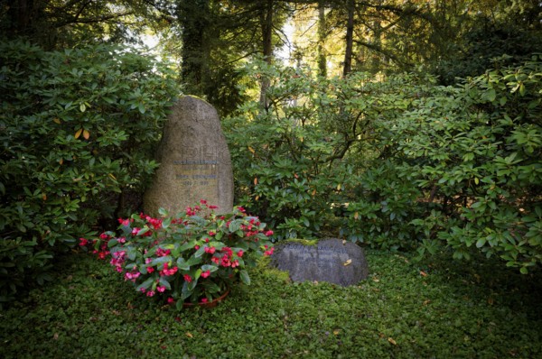 Gravesite, tomb, grave of the Euchar family, Thea, Eva Nehmann, Franckh Kosmos, forest cemetery, autumn, autumnal, Stuttgart, Baden-Württemberg, Germany