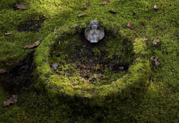 Detail, angel, angel figure on gravesite, tomb, grave moss, moss-covered, forest cemetery, Stuttgart, Baden-Württemberg, Germany