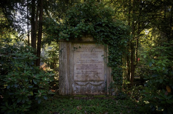 Gravesite, Gravestone, Grave of Dorothea Osterode, Forest Cemetery, Autumn, autumnal, Stuttgart, Baden-Württemberg, Germany