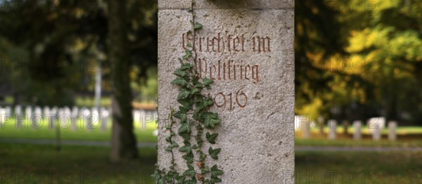 Commemoration of fallen soldiers in the First World War, war graves, graves, forest cemetery, ivy, autumn, autumnal, Stuttgart, Baden-Württemberg, Germany