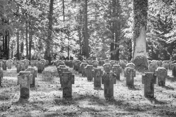 Remembrance of fallen soldiers in the First World War, war graves, graves, forest cemetery, black and white, Stuttgart, Baden-Württemberg, Germany