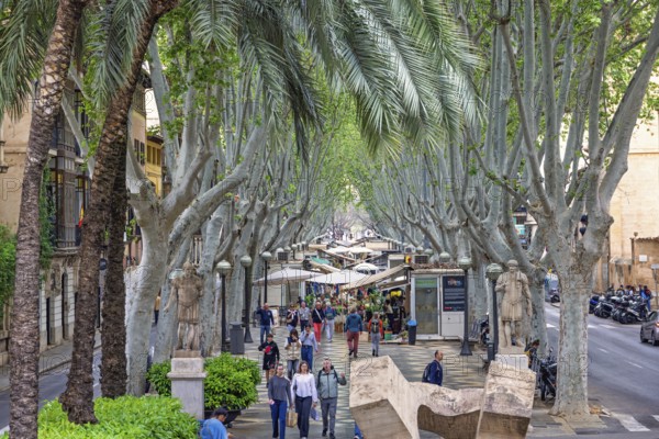 Tourists walking on La rambla a tree lined walking street with flower shops in Palma, Palma de Mallorca, Mallorca, Spain