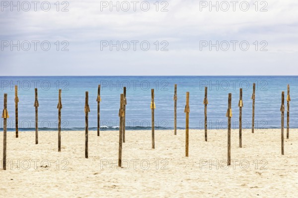 Sandy beach by the Mediterranean Sea with wooden poles for parasols and a seascape view to the horizon, Mallorca, Spain