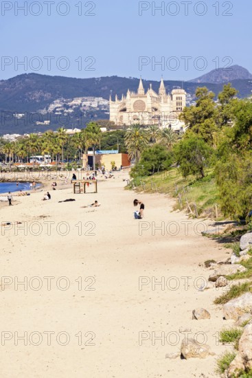 People on a sand beach by the Mediterranean Sea and the famous landmark Palma cathedral a sunny summer day with clear blue sky, Palma de Mallorca, Mallorca, Spain