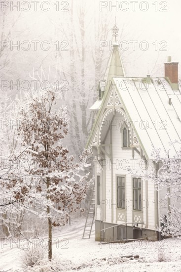 Winter day with snow and hoarfrost on the trees in the garden by an idyllic old beautiful white wooden house, Falköping, Sweden