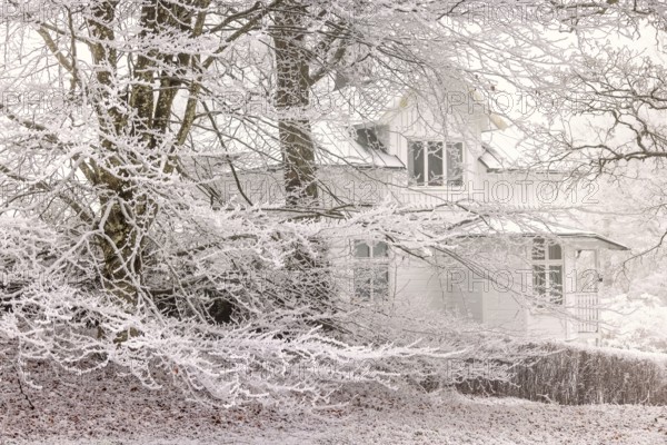 White wooden residential house in a grove of trees with hoarfrost a cold winter day, Falköping, Sweden
