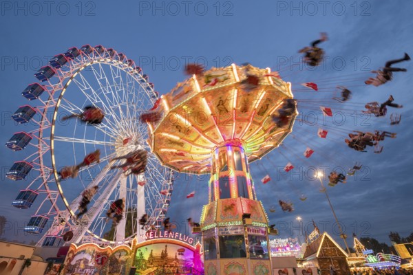 An illuminated chain carousel and Ferris wheel at night at a funfair, people swinging on chains, Bad Cannstatt, Stuttgart, Baden-Württemberg, Germany