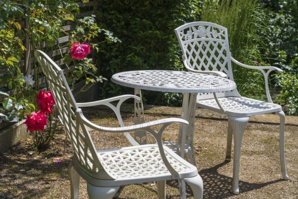 Sitting area in the garden, table and two garden chairs, framed by blooming roses, Westphalia, North Rhine-Westphalia, Germany