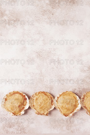 Scallop, baked in shells, with cheese and spices, on the table, homemade