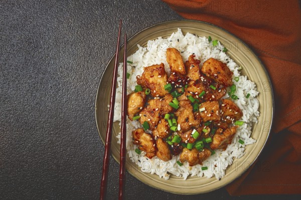 Fried chicken teriyaki with rice, green onion and sesame, homemade, no people