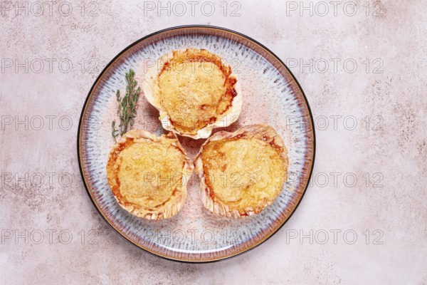 Scallop, baked in shells, with cheese and spices, on a plate, homemade